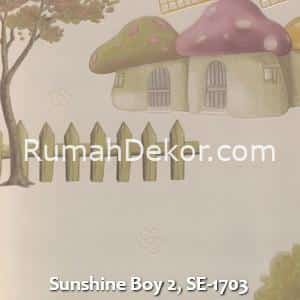 Sunshine Boy 2, SE-1703