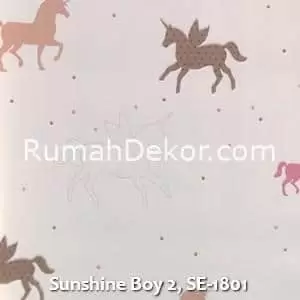 Sunshine Boy 2, SE-1801