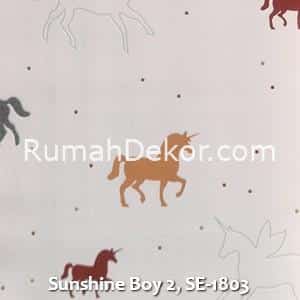 Sunshine Boy 2, SE-1803