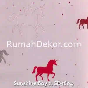 Sunshine Boy 2, SE-1804