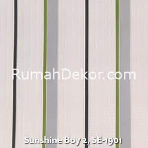 Sunshine Boy 2, SE-1901