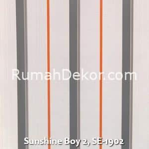 Sunshine Boy 2, SE-1902