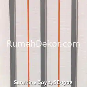 Sunshine Boy 2, SE-1902