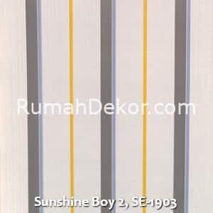 Sunshine Boy 2, SE-1903
