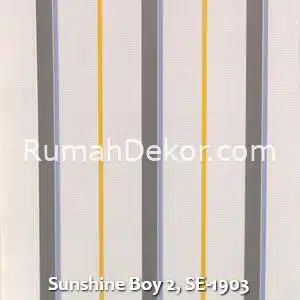 Sunshine Boy 2, SE-1903