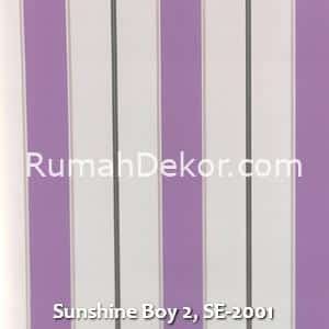 Sunshine Boy 2, SE-2001