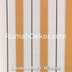 Sunshine Boy 2, SE-2002