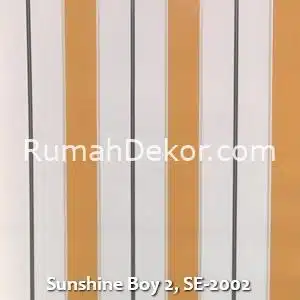 Sunshine Boy 2, SE-2002