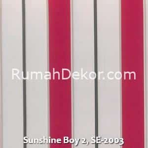 Sunshine Boy 2, SE-2003