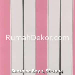Sunshine Boy 2, SE-2004