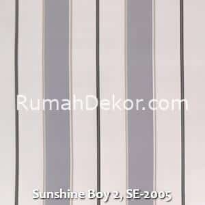Sunshine Boy 2, SE-2005