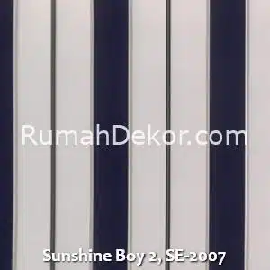 Sunshine Boy 2, SE-2007