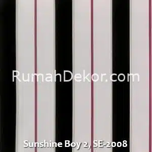 Sunshine Boy 2, SE-2008