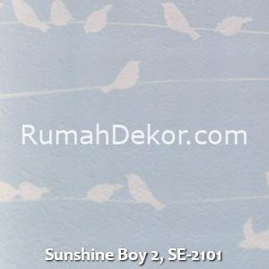 Sunshine Boy 2, SE-2101