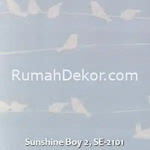 Sunshine Boy 2, SE-2101