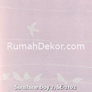 Sunshine Boy 2, SE-2102