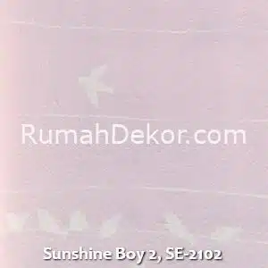 Sunshine Boy 2, SE-2102