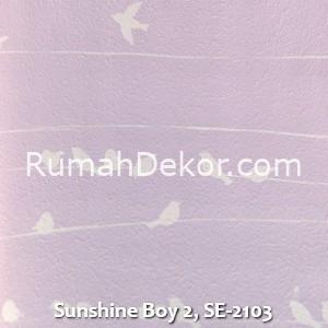 Sunshine Boy 2, SE-2103