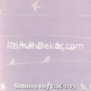 Sunshine Boy 2, SE-2103