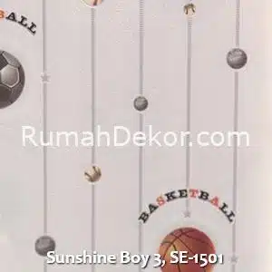 Sunshine Boy 3, SE-1501