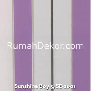 Sunshine Boy 3, SE-2001
