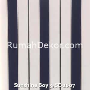 Sunshine Boy 3, SE-2007