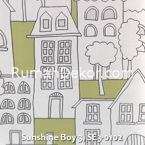 Sunshine Boy 3, SE3-0102