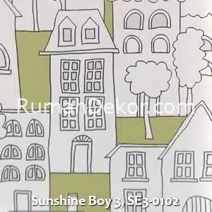 Sunshine Boy 3, SE3-0102