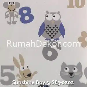 Sunshine Boy 3, SE3-0202