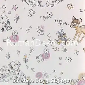 Sunshine Boy 3, SE3-0301