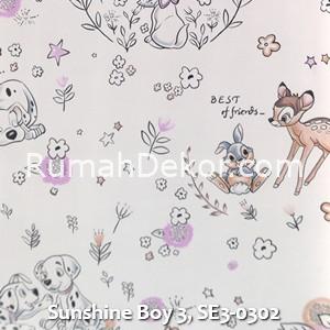 Sunshine Boy 3, SE3-0302