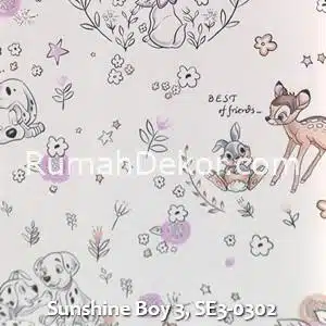 Sunshine Boy 3, SE3-0302