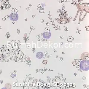 Sunshine Boy 3, SE3-0303