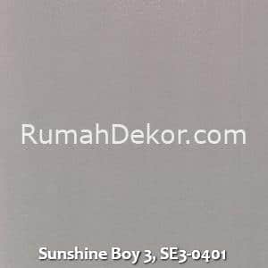 Sunshine Boy 3, SE3-0401
