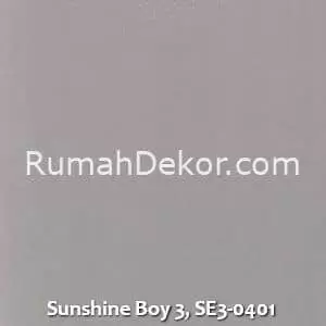 Sunshine Boy 3, SE3-0401