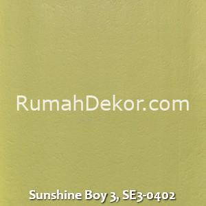 Sunshine Boy 3, SE3-0402