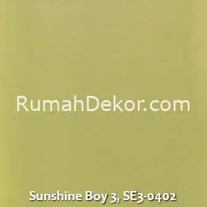 Sunshine Boy 3, SE3-0402