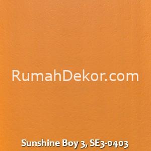 Sunshine Boy 3, SE3-0403