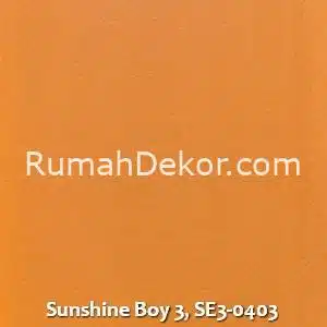 Sunshine Boy 3, SE3-0403