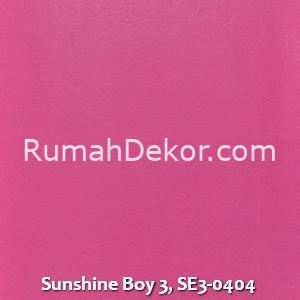 Sunshine Boy 3, SE3-0404