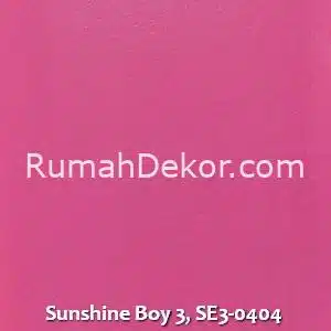 Sunshine Boy 3, SE3-0404