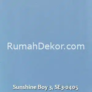 Sunshine Boy 3, SE3-0405