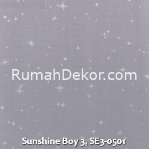 Sunshine Boy 3, SE3-0501