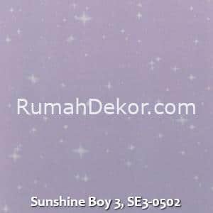 Sunshine Boy 3, SE3-0502