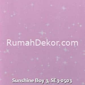 Sunshine Boy 3, SE3-0503