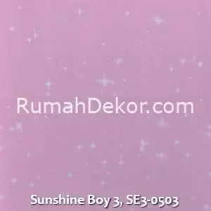 Sunshine Boy 3, SE3-0503