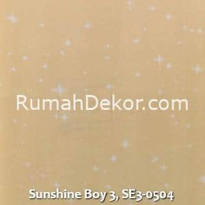 Sunshine Boy 3, SE3-0504