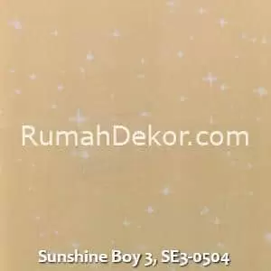 Sunshine Boy 3, SE3-0504