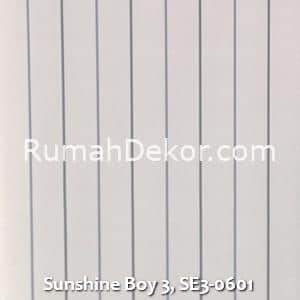 Sunshine Boy 3, SE3-0601