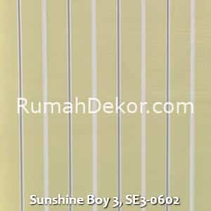 Sunshine Boy 3, SE3-0602